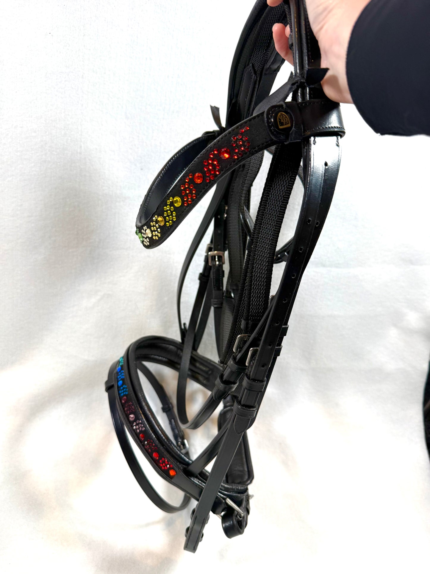SAMPLE Rainbow Bling Bridle