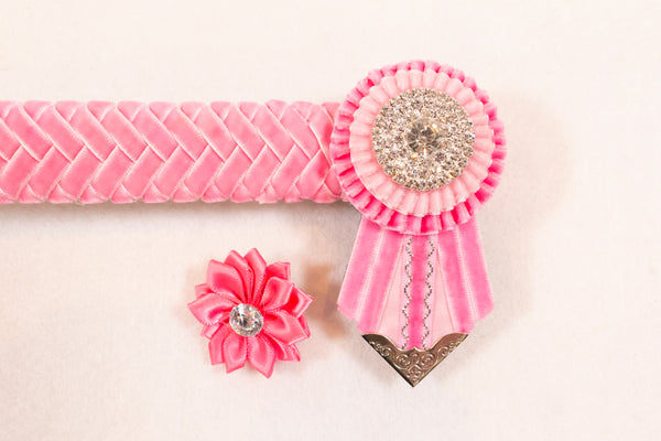 Blush Pink 12" Show Browband with Matching Lapel Pin