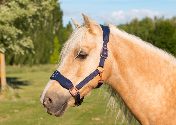 SECONDS Signature Fleece Halters