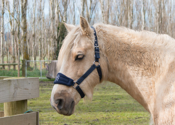 SECONDS Signature Fleece Halters