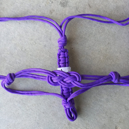 Celtic Halter
