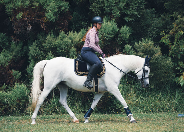 Navy Velvet Baroque Saddle Pads - GP, Jump, and Dressage Cuts