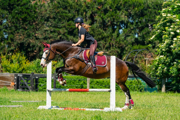 Burgundy/Grey Saddle Pads - Jump, GP, and Dressage cuts