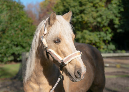 Colour Changing Glitter Fleece Halters