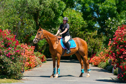 Turquoise/Pink Saddle Pads - Jump, GP, and Dressage cuts