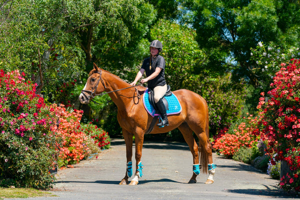 Turquoise/Pink Saddle Pads - Jump, GP, and Dressage cuts