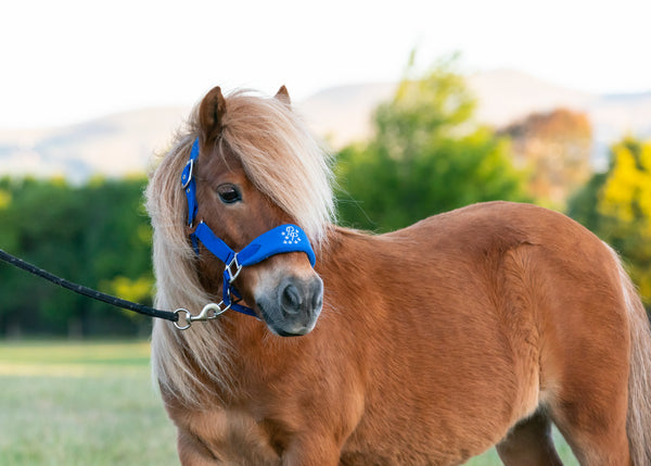 Signature Fleece Halters