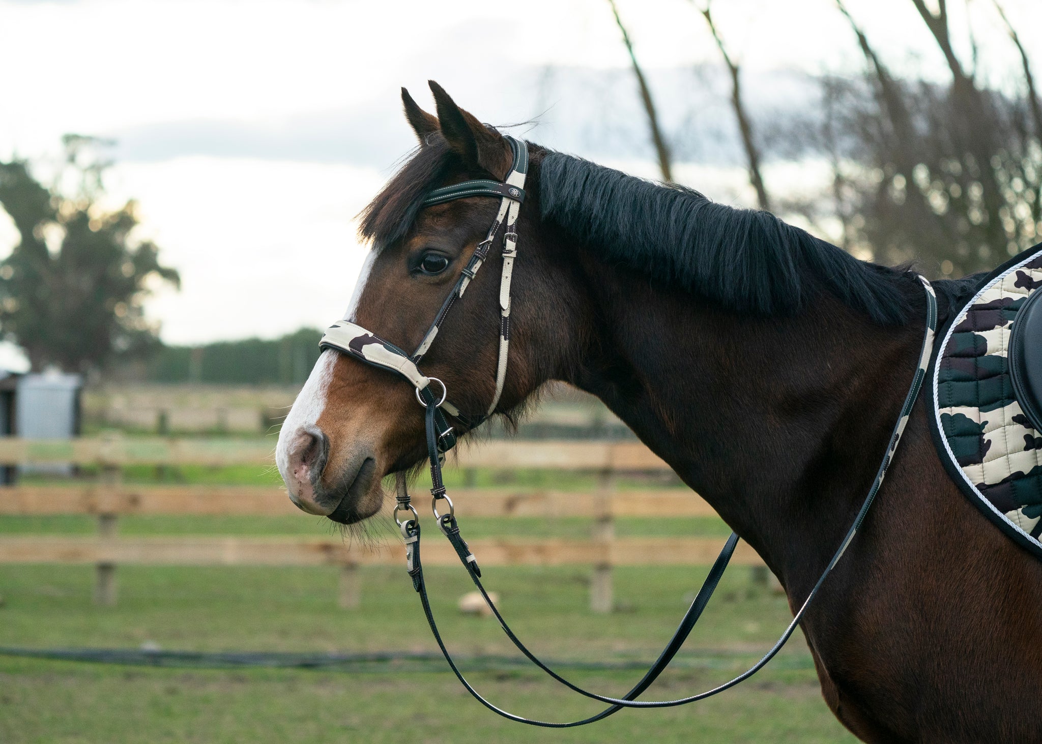 Camo Bitless Bridle