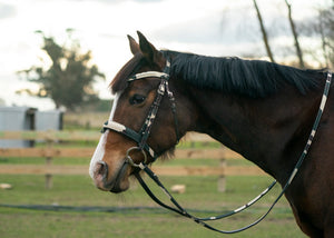 Camouflage Bridle