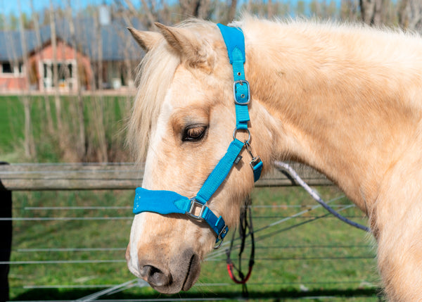 Signature Fleece Halters