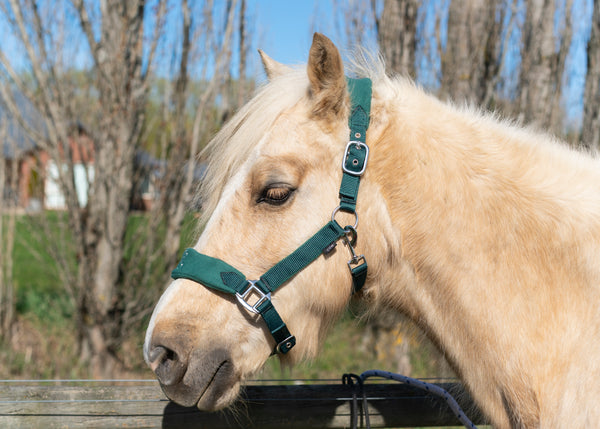 Signature Fleece Halters