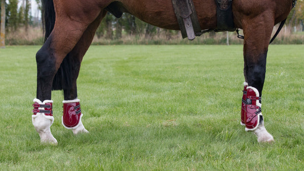 Mini Horse Open Front Boots