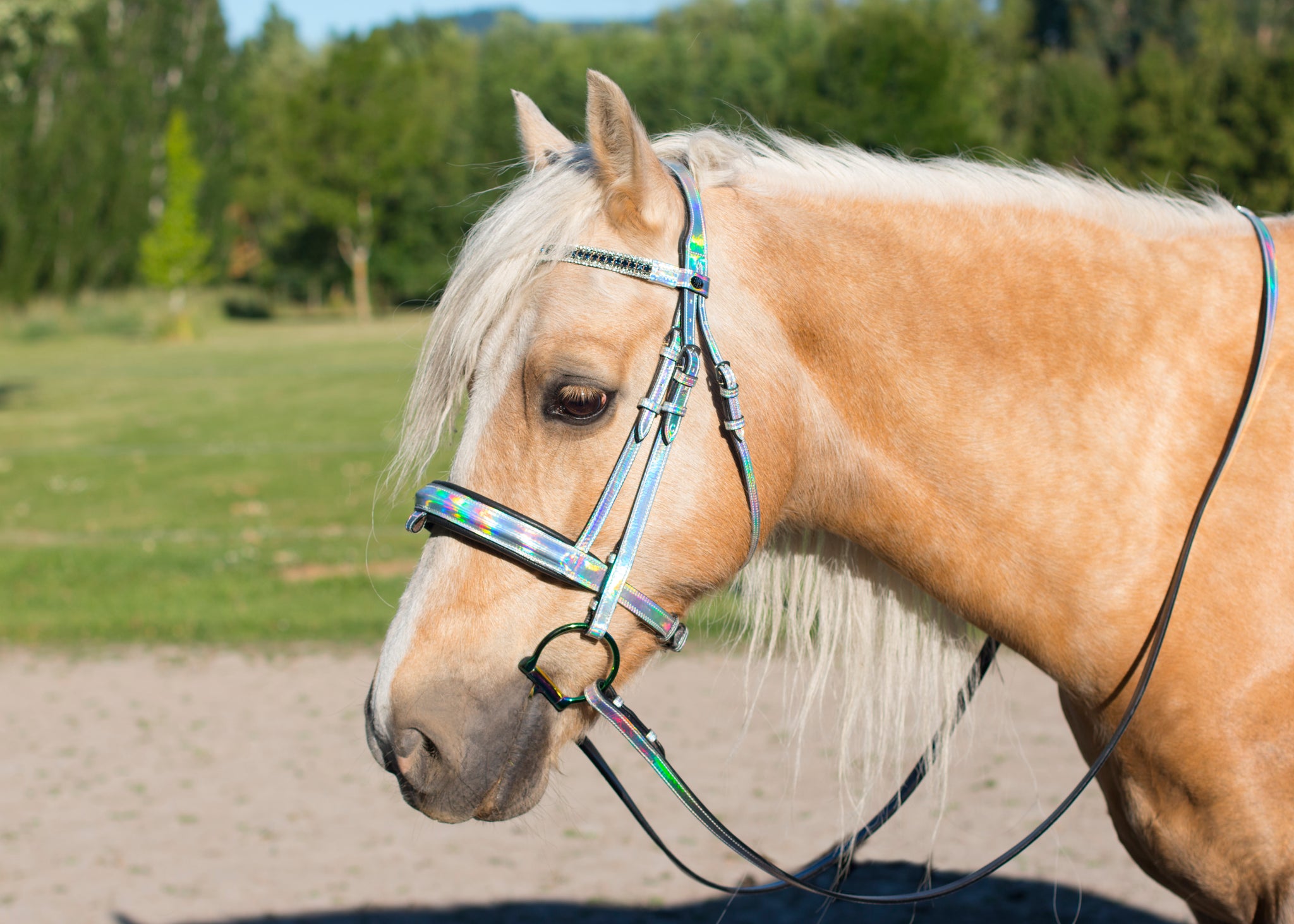 SECONDS Holo Bridle