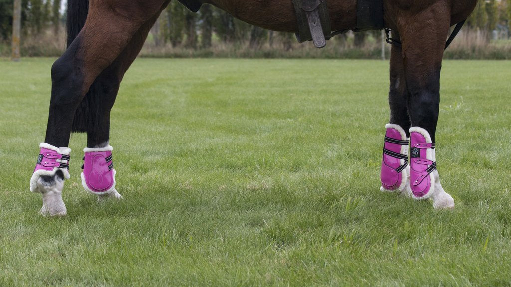 Miniature horse deals shipping boots
