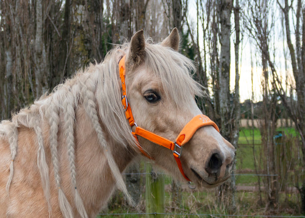 Signature Fleece Halters