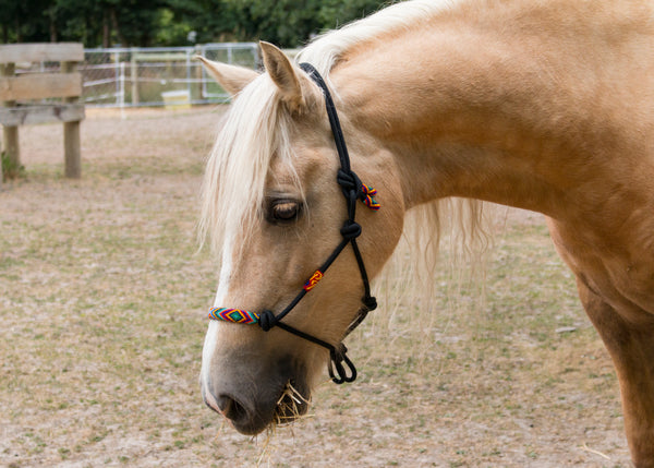 Hand Beaded Rope Halters