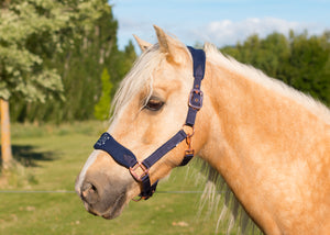 Rose Gold and Navy Fleece Halters