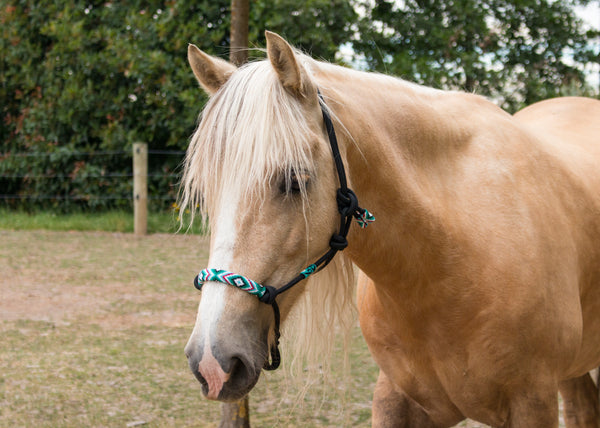 Hand Beaded Rope Halters