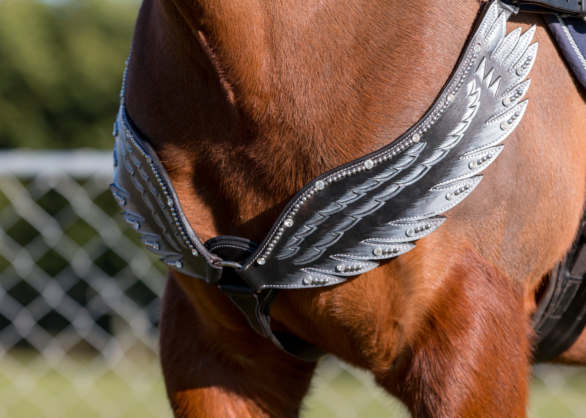 SECONDS Pegasus Breastplate