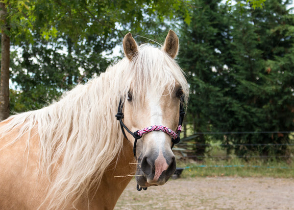 Hand Beaded Rope Halters