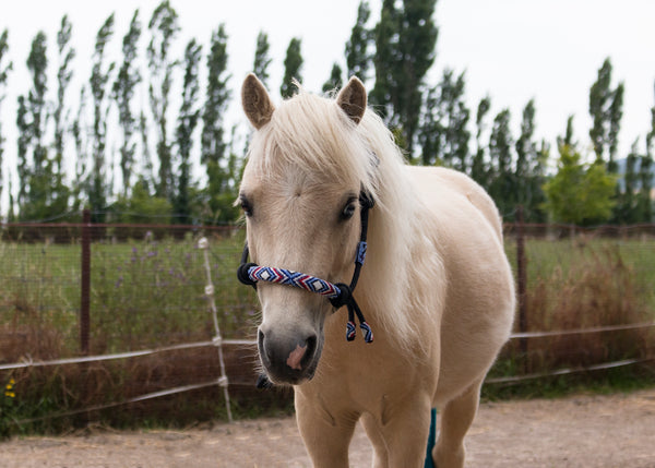 Hand Beaded Rope Halters