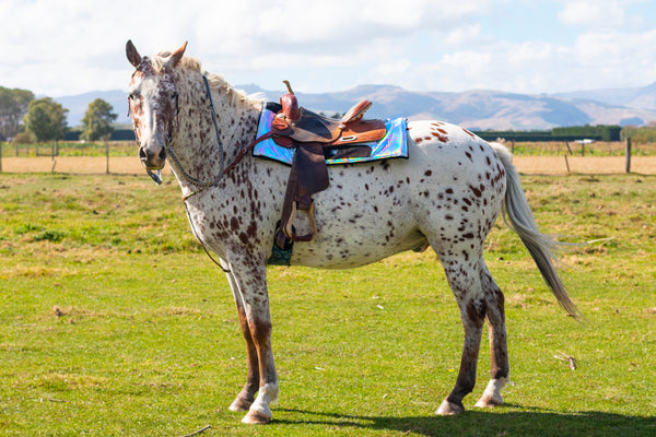 Holo Western Pad