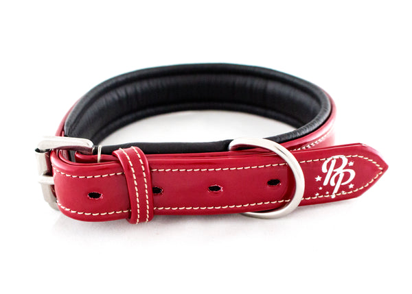 Leather Padded Dog Collars