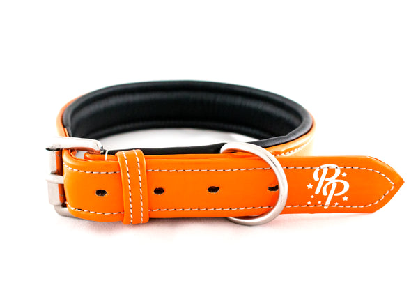 Leather Padded Dog Collars