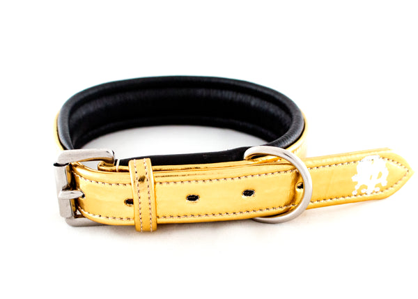 Leather Padded Dog Collars