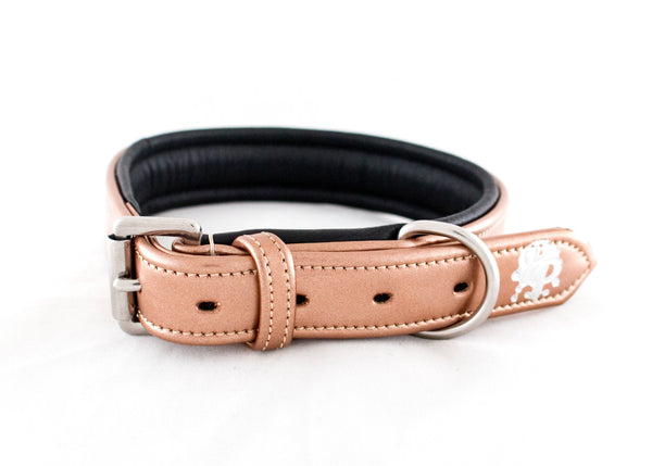 Leather Padded Dog Collars