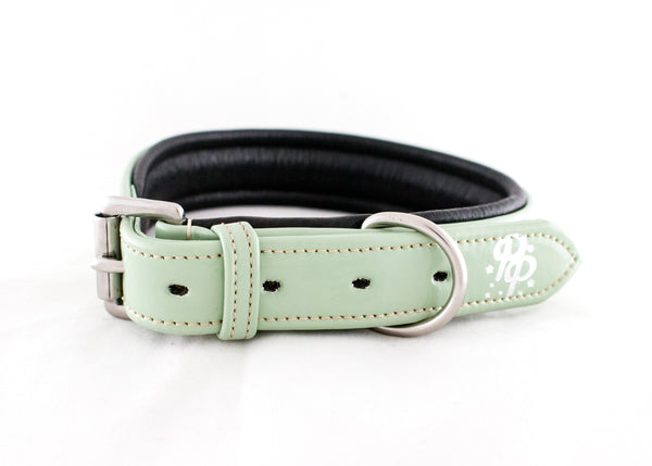 Leather Padded Dog Collars