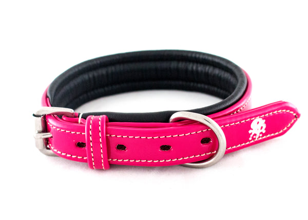 Leather Padded Dog Collars