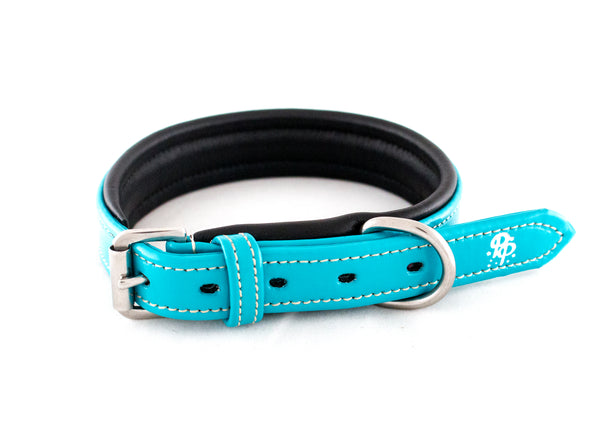 Leather Padded Dog Collars