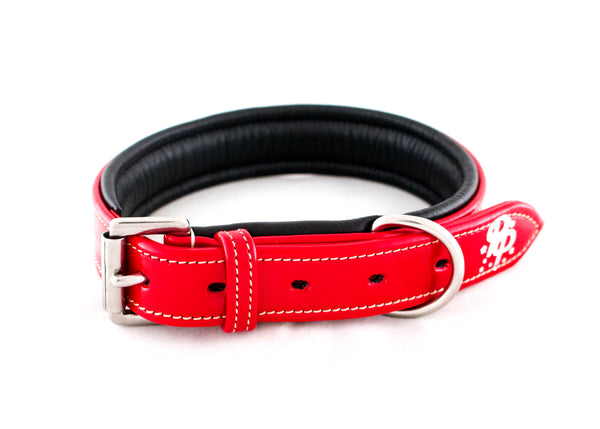 Leather Padded Dog Collars