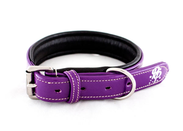 Leather Padded Dog Collars