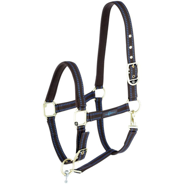 GoLeyGo Brown/Blue Halter and Lead Set