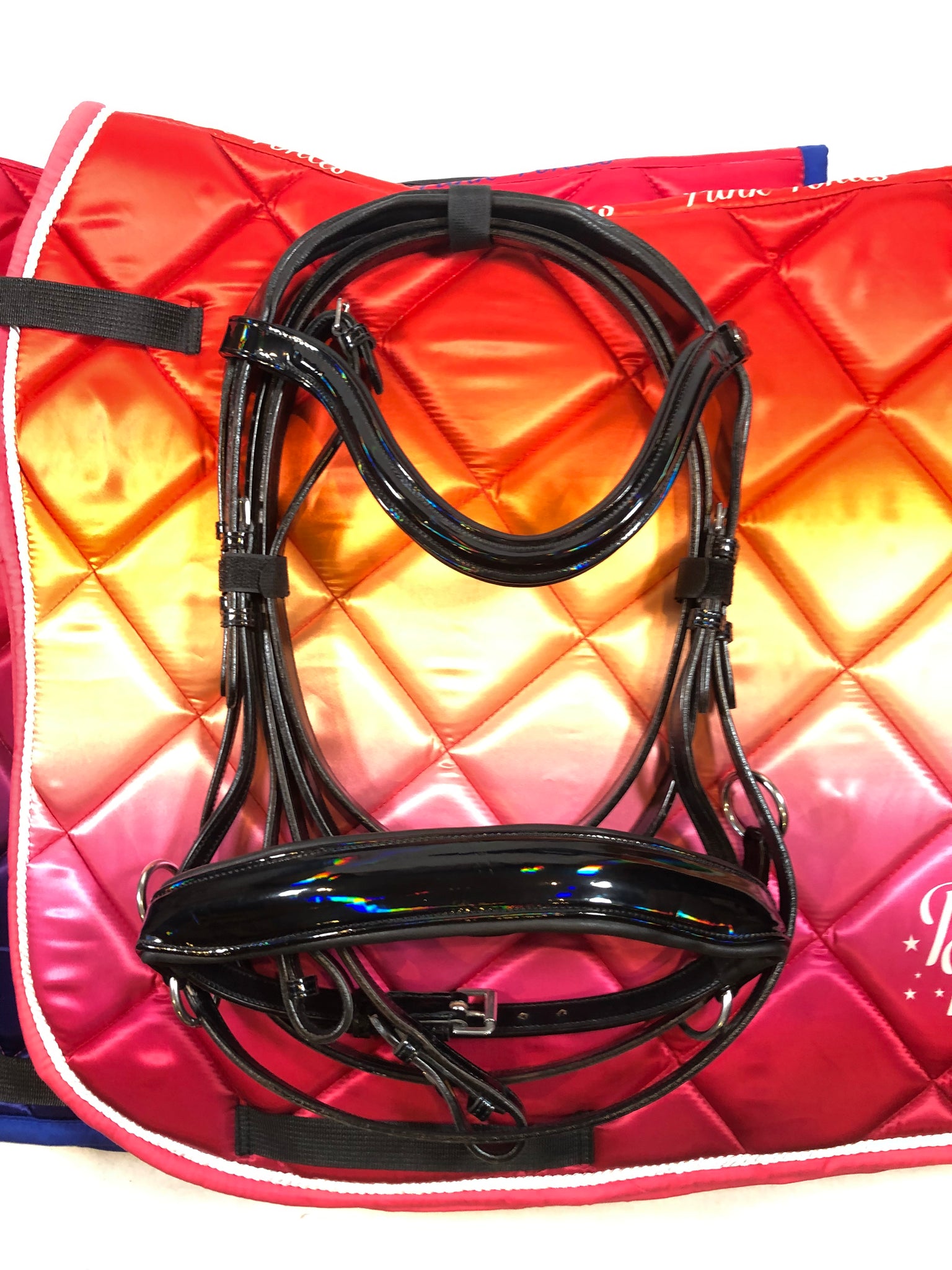 Black Holo Bitless Bridle