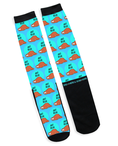 Sloth Socks - Dreamers and Schemers Socks