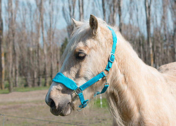 Signature Fleece Halters